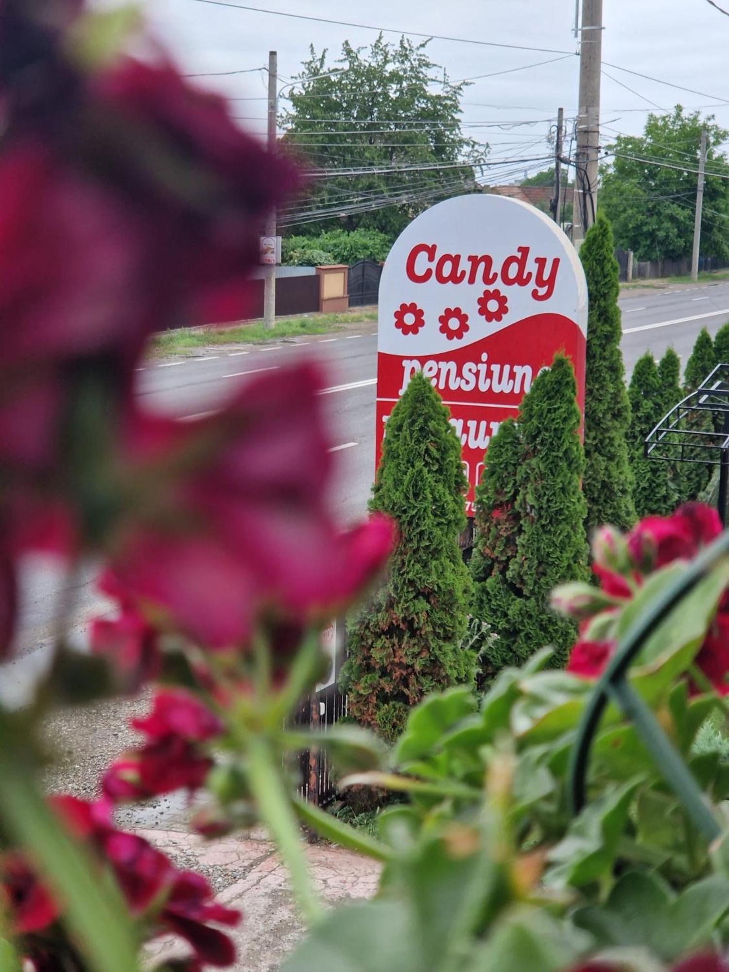 Candy Pensiune&Restaurant Dumbrava Roşie Eksteriør bilde